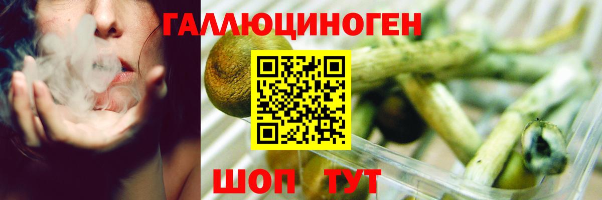 Псилоцибиновые грибы MAGIC MUSHROOMS Каменка